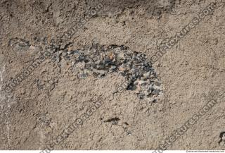 Photo Texture of Wall Stucco